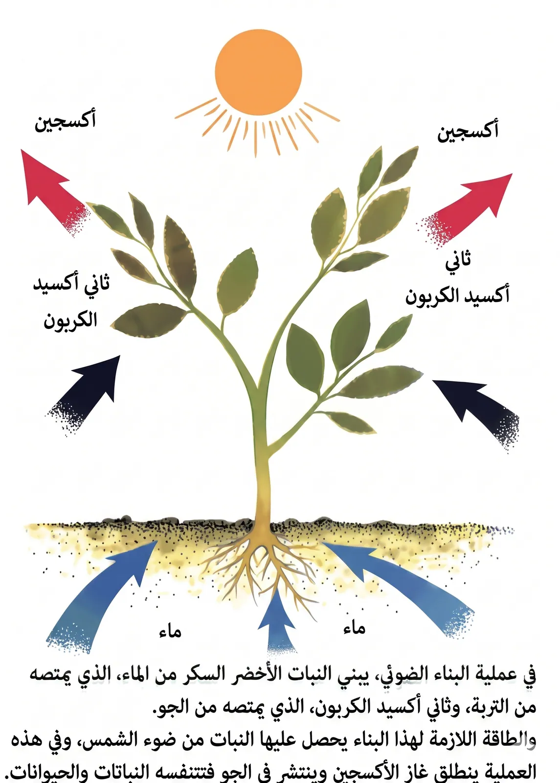 صورة مبهمة أو معقدة من كتاب قديم